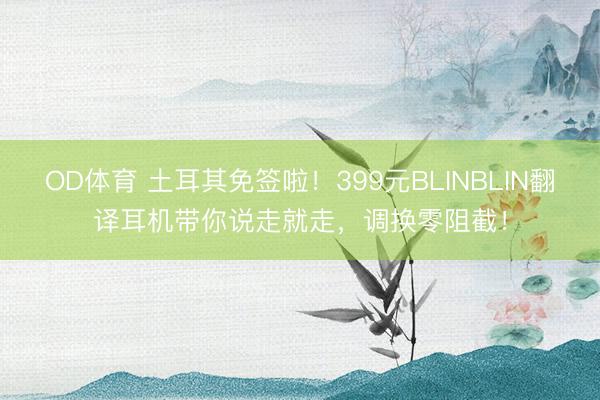 OD体育 土耳其免签啦!399元BLINBLIN翻译耳机带你说走就走,调换零阻截!