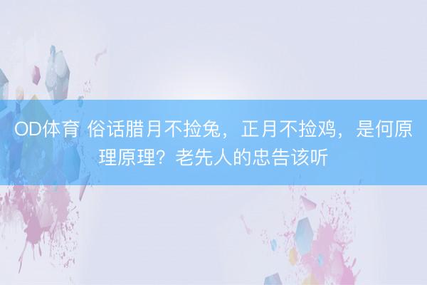 OD体育 俗话腊月不捡兔，正月不捡鸡，是何原理原理？老先人的忠告该听