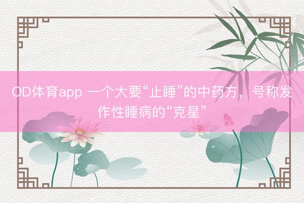 OD体育app 一个大要“止睡”的中药方，号称发作性睡病的“克星”