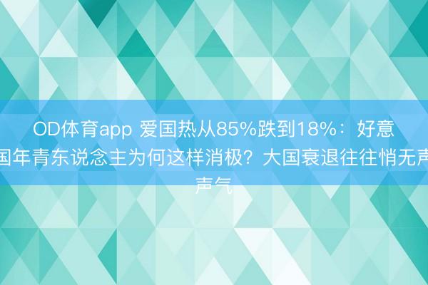 OD体育app 爱国热从85%跌到18%：好意思国年青东说念主为何这样消极？大国衰退往往悄无声气